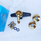 قیمت شیر توالت قاجاری