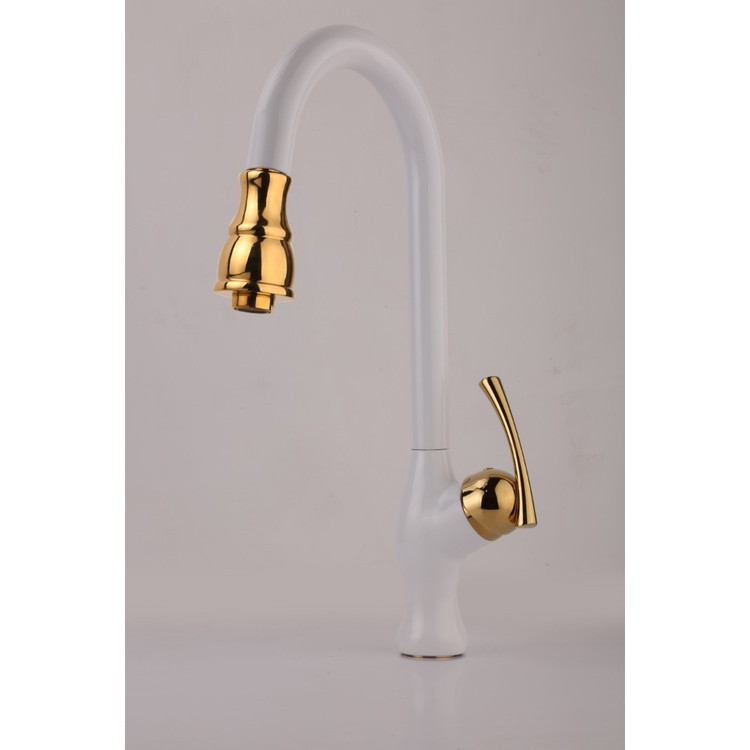 شیر شاوری شلنگدار