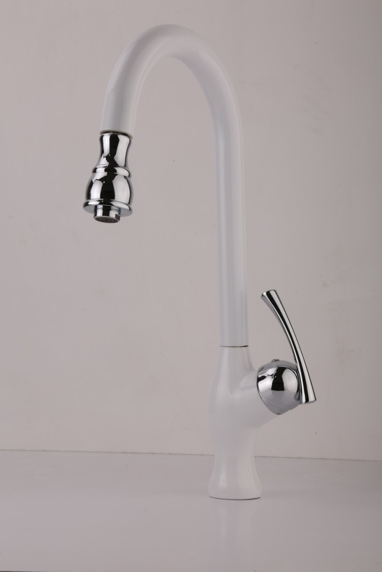 بهترین شیر شاوری